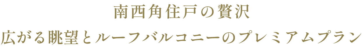 南西角住戸の贅沢広がる眺望とルーフバルコニーのプレミアムプラン
